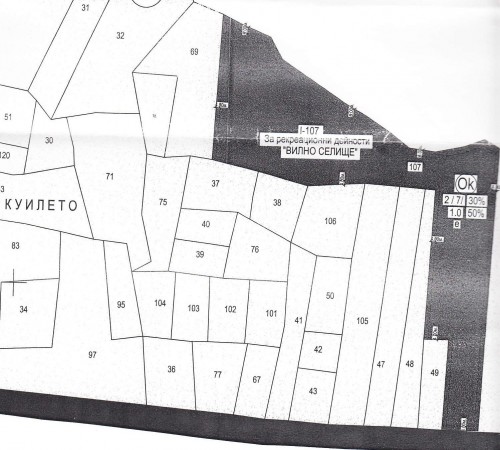 plot - Batak, Kuileto village