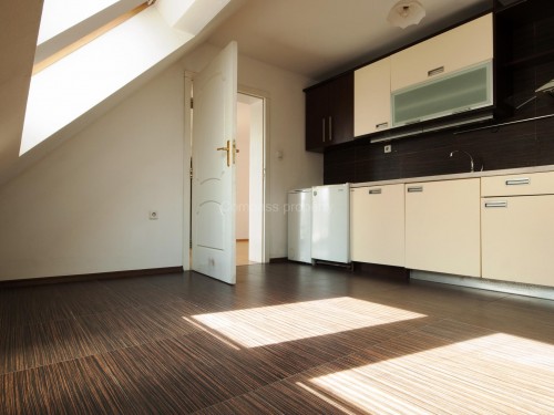 Multibedroom apartment - Sofia, Center